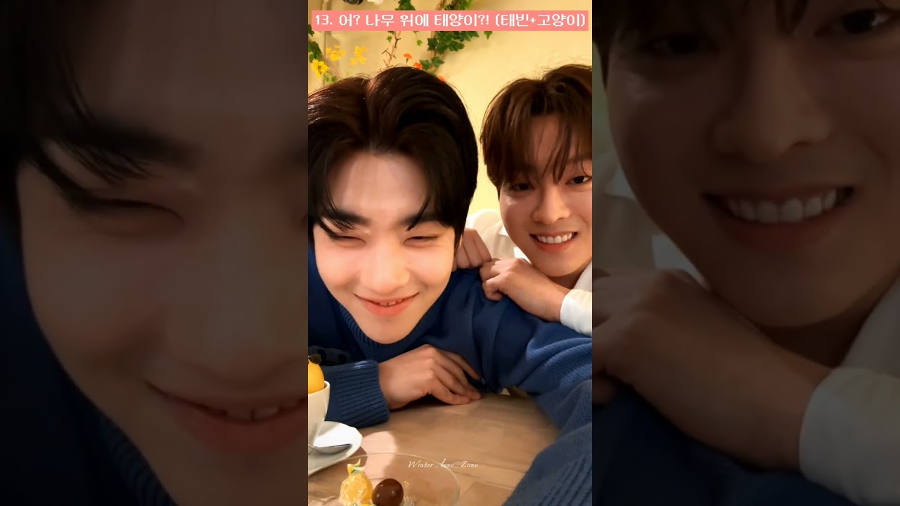 [연애 지상주의 구역] 이태빈&차주완 라이브 방송! 내가 생각하는 재밌는 부분