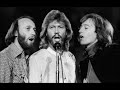 How deep is your love - Bee Gees (Versión en español)