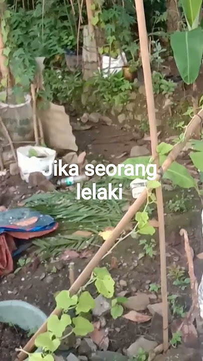 Nasehat untuk para istri #shortvideo #hidupdidesa #nasehat #motivation #katakatabijak #perjuangan