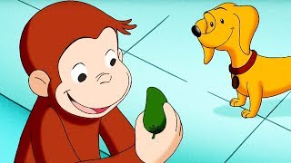 Curious George 🐵Mother's Day Surprise 🐵Kids Cartoon 🐵Kids Movies 🐵Videos for Kids