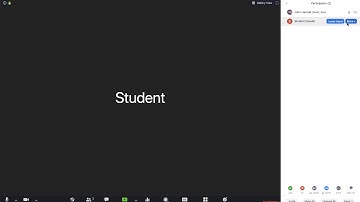 Zoom Meeting Controls