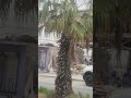 La construcción (Suscribete. Suscribe. Souscrire. Inscreva-se. Iscriviti)