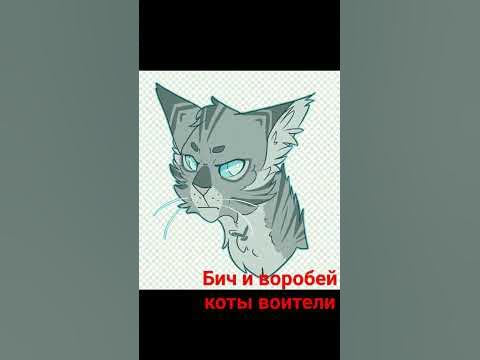 коты воители бич и воробей - YouTube