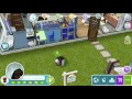 Upgrade The Riches Of Terra To Level 1 The sims freeplay