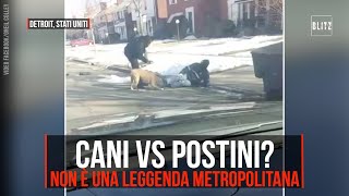 Cani vs postini? non è solo una leggenda metropolitana