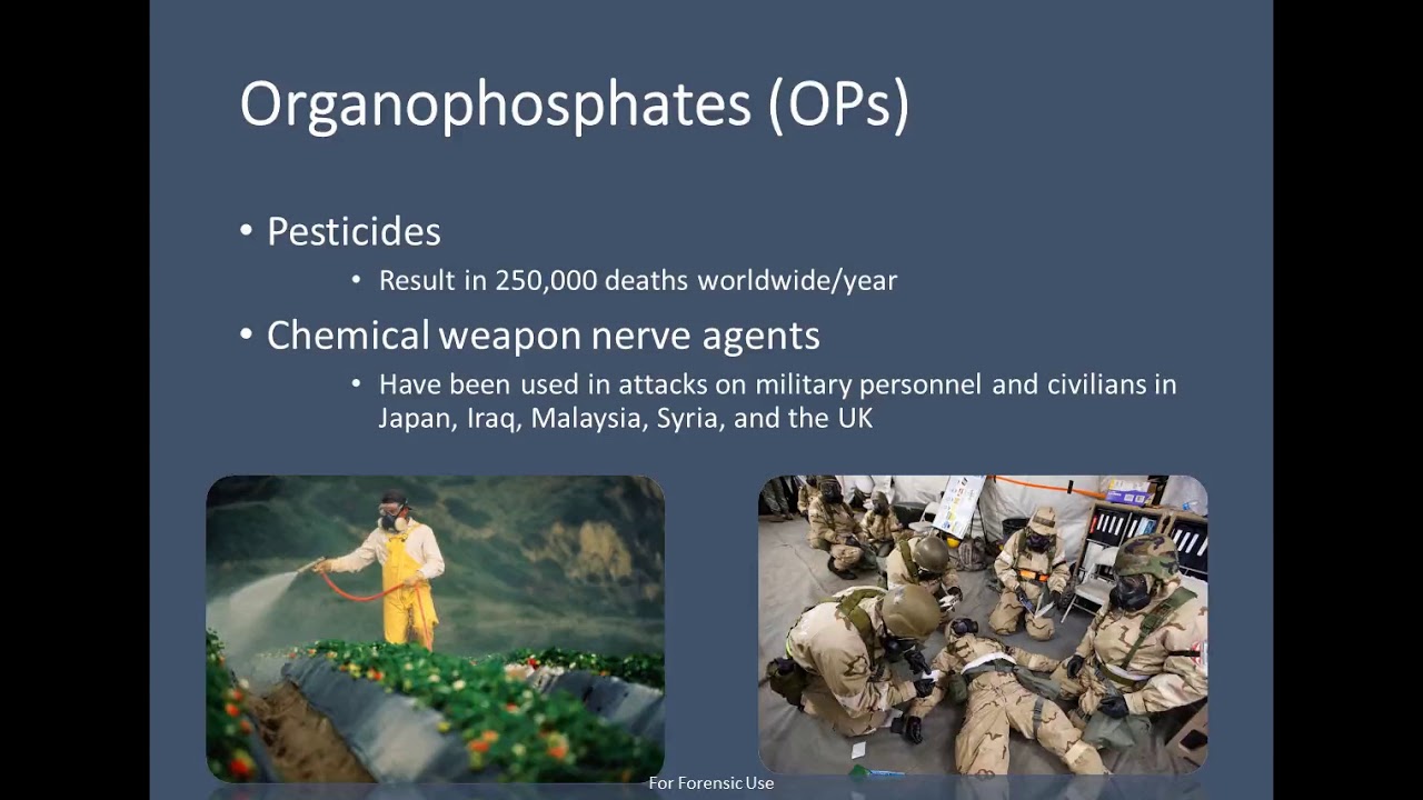 LC-HRMS/MS Method Development for the Analysis Nerve Agents in Bone