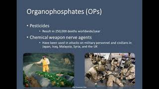 LC-HRMS/MS Method Development for the Analysis Nerve Agents in Bone