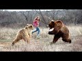 When Bears Go On A Rampage! Interesting Animal Moments CAUGHT ON CAMERA