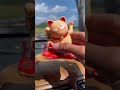 Kucing Hoki Lucky Cat Dashboard Solar Kucing Hoki Pajangan Mobil #kucinghoki #kucingkeberuntungan