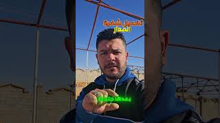 تفعيل شفرة المدار بدون ماتمشي للشركة screenshot 2