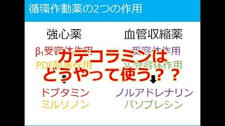 【カテコラミン】極論と独断で語る輸液と循環作動薬　第７話　循環作動薬の使い分けはどうやる？