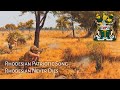 Rhodesian Patriotic Song : Rhodesian Never Dies