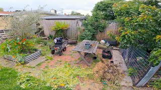 Almighty Post-Apocalyptic Garden Nightmare Restored | Helping a Disabled Lady