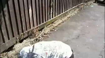 Run fatty RUN!