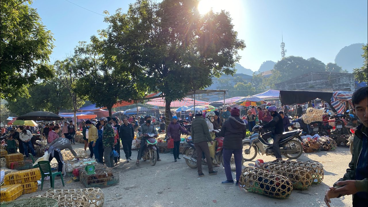 thanh pho bac kan Update Khám Phá Chợ Phiên Ngân Sơn BẮC KẠN Bán Rất Nhiều Đồ Rừng | Miền núi tây bắc