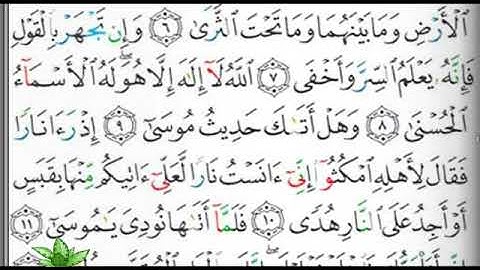 مصحف التجويد الصفحة 312 إبراهيم الأخضر