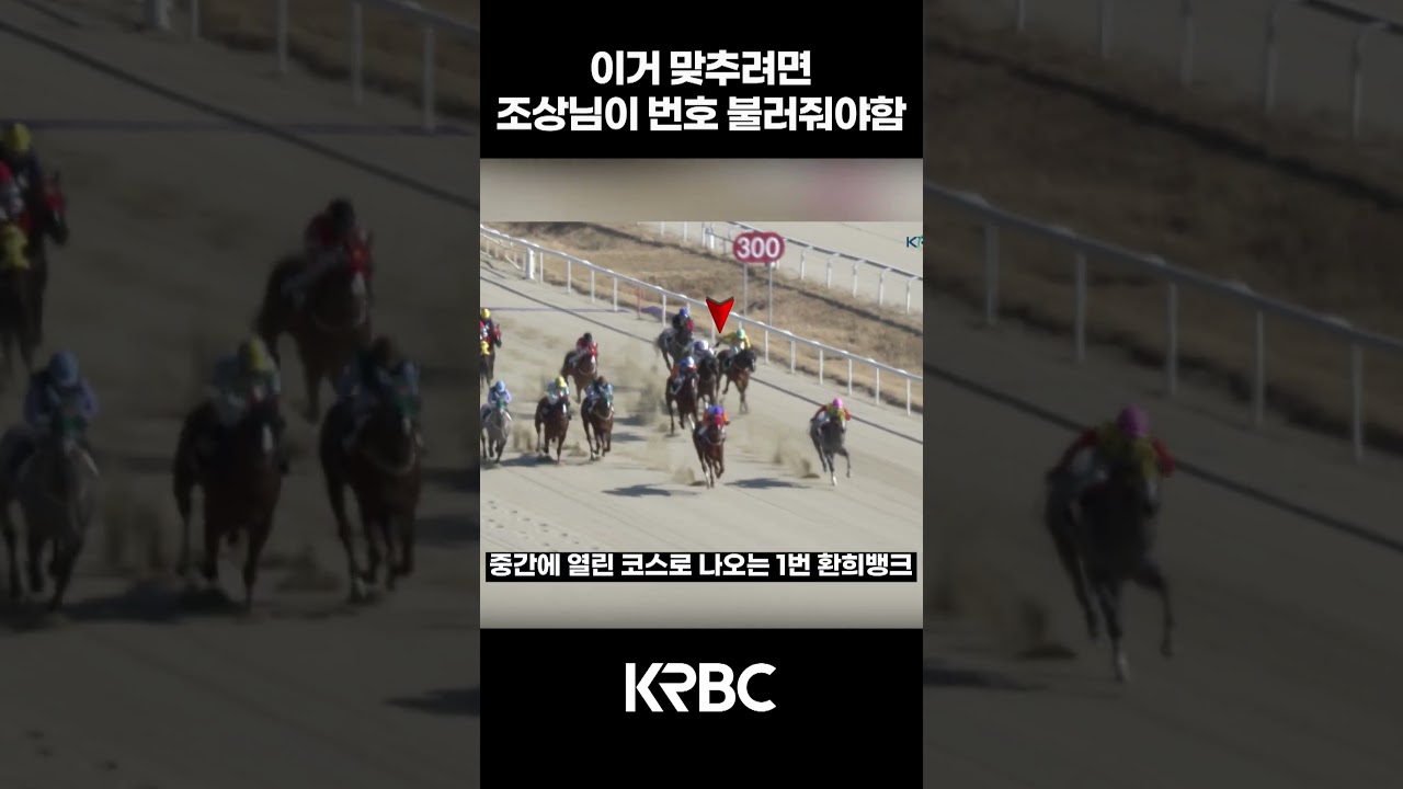 이거 맞추려면 조상님이 번호 불러줘야함 #shorts #경마방송 #기수 #경주마 #경마 #KoreaHorseRacing