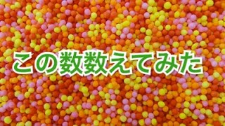 検証　数えてみた