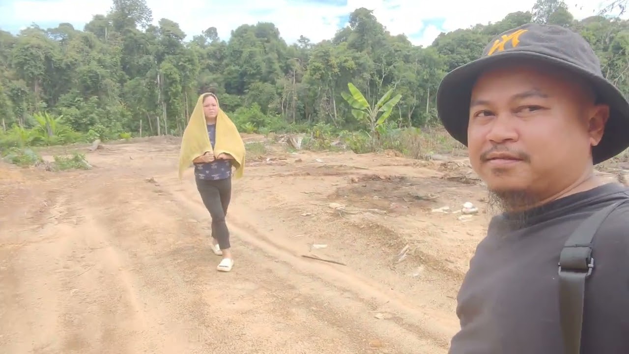 Hari ini kami pergi ke kebun sawit bapa mertua