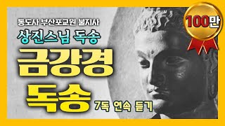 [BTN불교TV] 상진스님의 금강경 독송  7독 연속 듣기