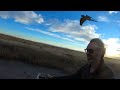 BTM &amp; Scarlet macaws flying together with me on the motorcycle
