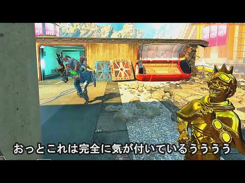 君がスルーした棒立ちデコイ実は全プレドッキリ。 apex
