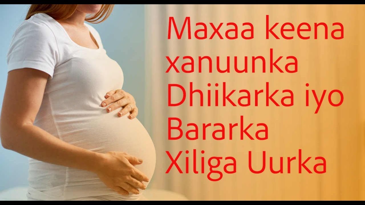 Maxaa keena Xauunka Dhiikarka iyo Barararka Xiliga Uurka ee Haweenka