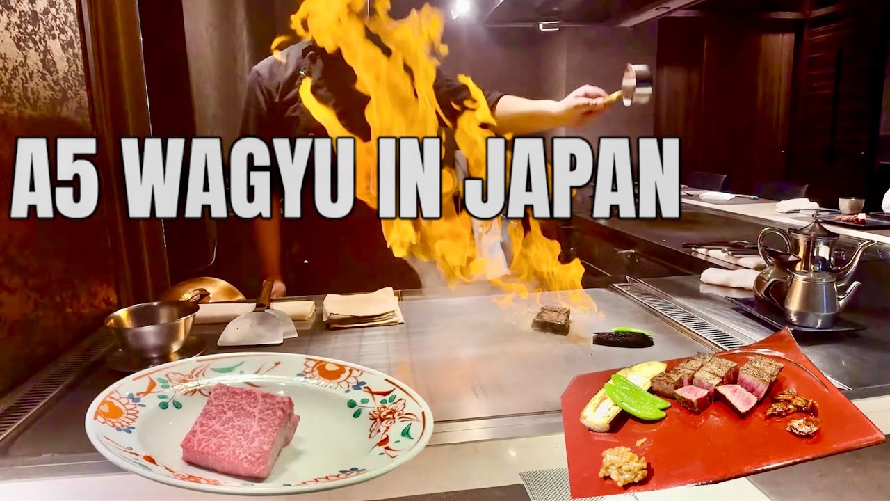 I Flew for A5 Wagyu. Ended in a Tokyo ER