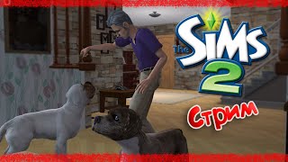 картинка: |The Sims 2| Стрим |