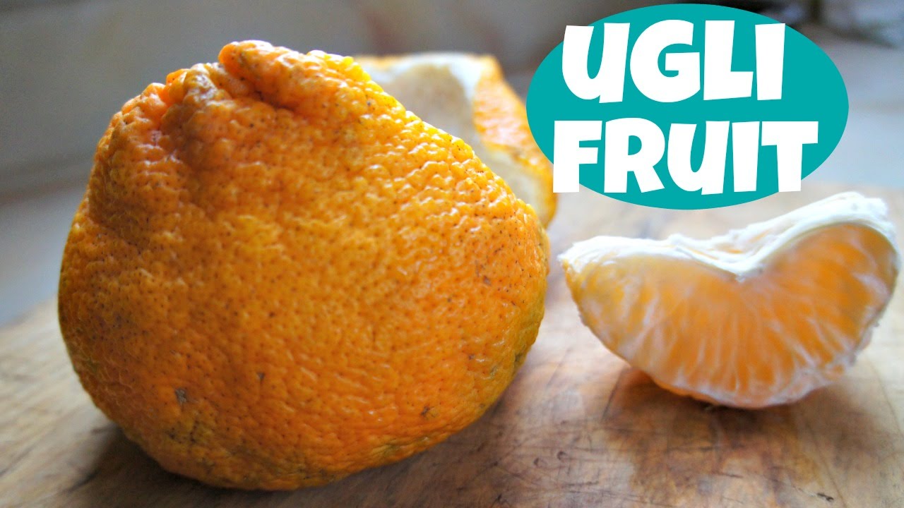 tasting ugli fruit - fruity fruits - youtube