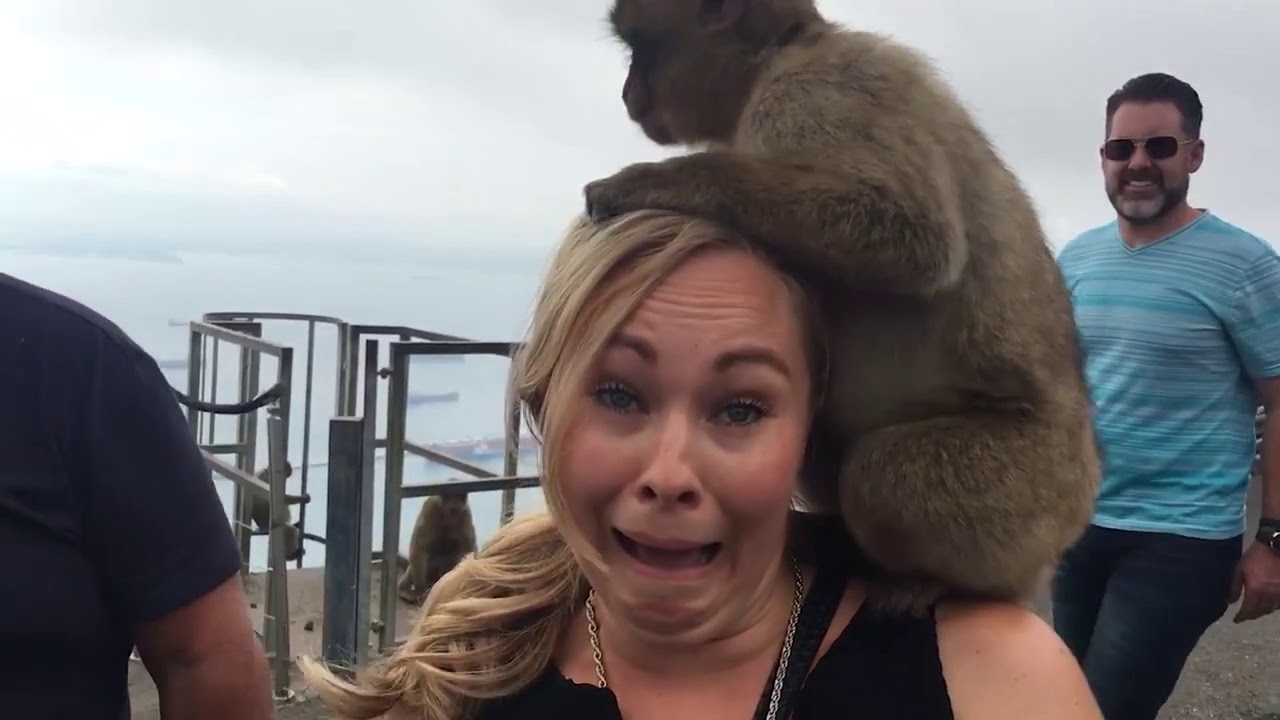 America's Funniest Home Videos YouTube