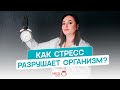 Как СТРЕСС разрушает организм? | ФИЗИОЛОГИЯ СТРЕССА