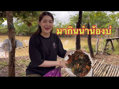 ภูมิใจที่สุด ต้มเขียดไข่หนุ่มคนไหนกินเป็นบ้าง🥰😊