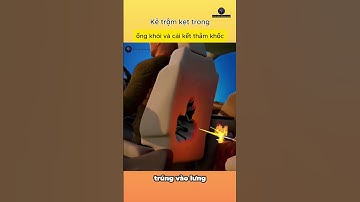 Thief stuck in chimney and tragic ending