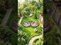 create a beautiful garden#fyp #reelsfyp #foryoupage #garden #beautiful