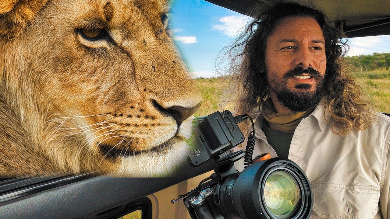 Upoznao sam budućeg KRALJA LAVOVA na safariju u Keniji
