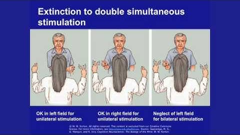 Lec 8 | MIT 9.00SC Introduction to Psychology, Spring 2011