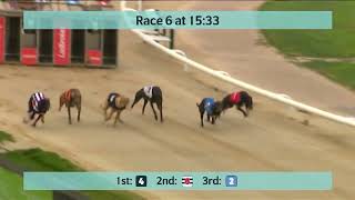 Monmore Greyhounds Races on 7th May 2024