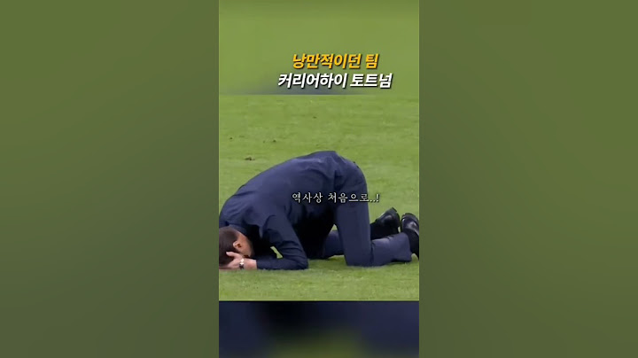 쩌는 토트넘 챔스 결승 진출