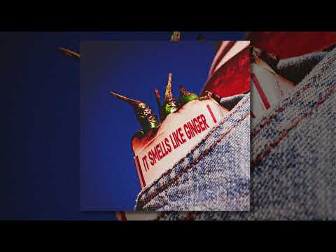 CHILDREN OF TODAY- GINGER AND THE PEPPERS (AUDIO)