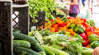 Mayor Jacobs Business Series Features Nourish Knoxville.