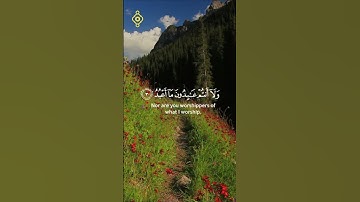 سورة الكافرون تلاوة كاملة للقارئ الشيخ عبد الله الخلف  #اكسبلور