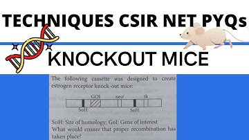 Knockout mice|NeoR tk gene selection|G418 casette|Techniques in Biology PYQs CSIR NET Part C|Part II