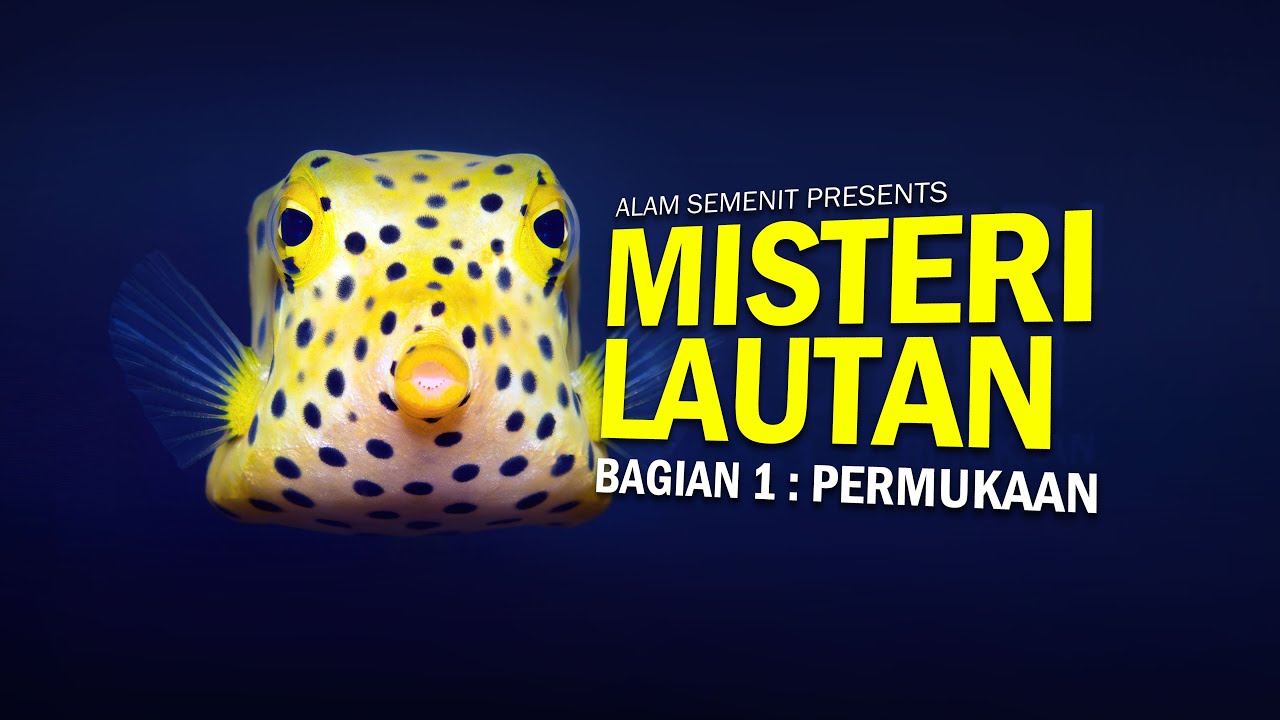 Menyingkap Misteri Lautan -  Part 1: Permukaan 