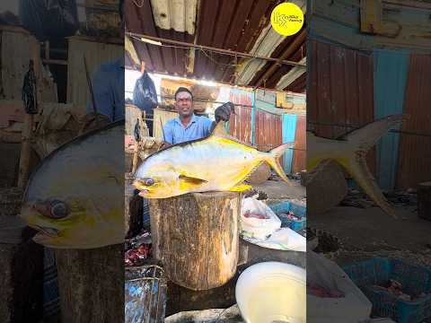 Kasimedu Gold Trevally Fish Cutting Cutting Video #bigfish #shorts #youtube #fishcuttingworld