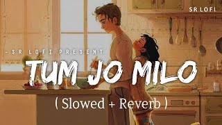 Tum Jo Milo - Lofi (Slowed   Reverb) | Abhijeet Srivastava | Freddy | SR Lofi