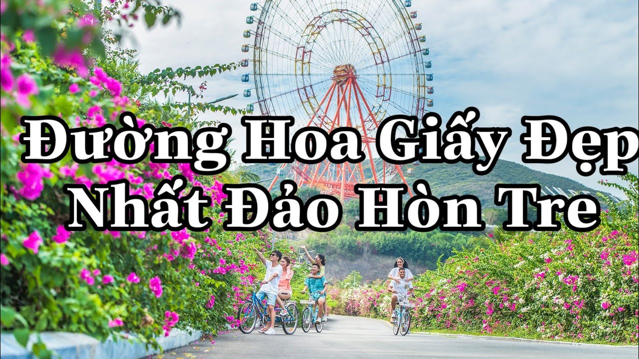 khách sạn hoa giấy nha trang New Update Bougainvillea Flower Road In Vinpearl Nha Trang Island|ĐƯỜNG HOA GIẤY VINPEARL NHA TRANG- part 2