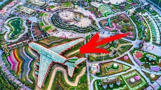 Дунёдаги Энг Катта Гулли Самолёт