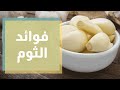 فوائد الثوم مع أخصائية التغذية رند الديسي دنيا يا دنيا فوائد الثوم مع أخصائية التغذية رند الديسي دنيا يا دنيا