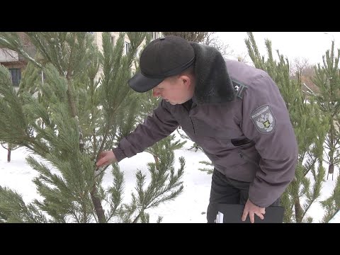 Бейне: Россельхознадзор Швейцарияны азық-түлік импортына шектеулер енгіземіз деп қорқытты